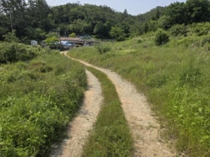 전라남도 완도군 완도읍 가용리 산111-4