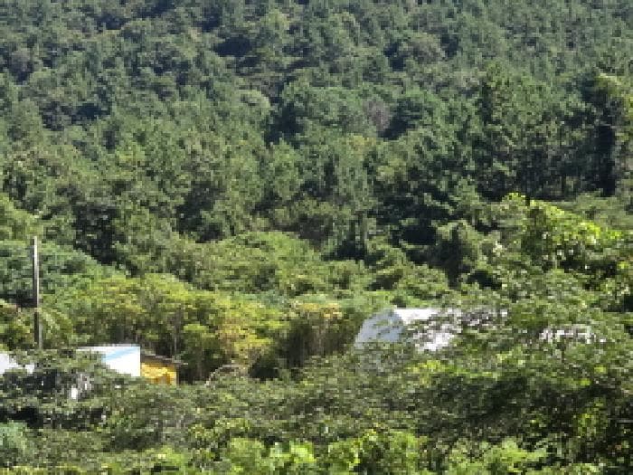 전라남도 완도군 약산면 우두리 28