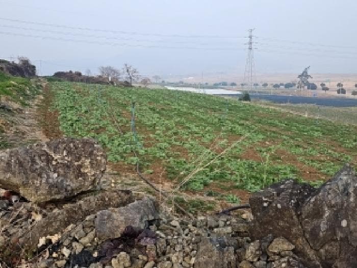 전라남도 해남군 화원면 청용리 116