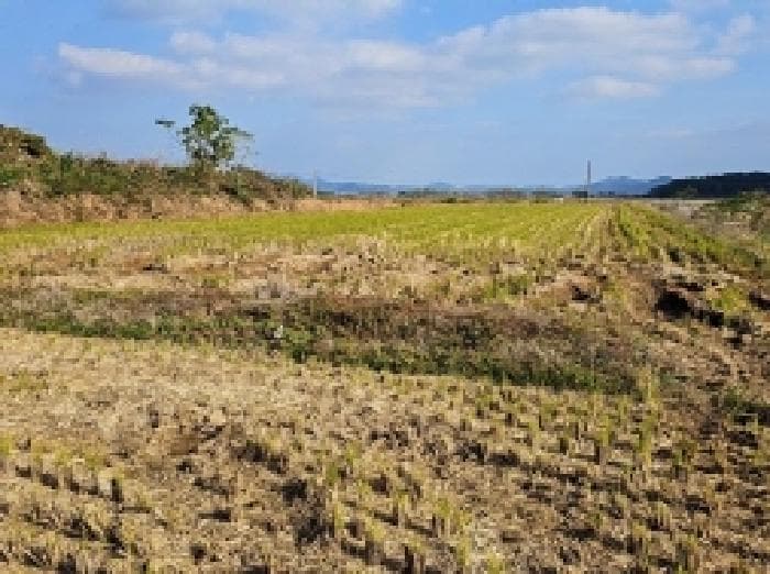 전라남도 해남군 북일면 내동리 135