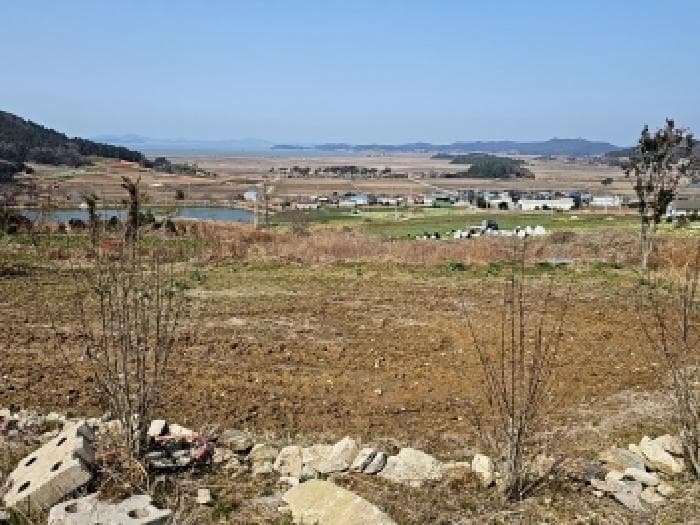 전라남도 해남군 산이면 금호리 556