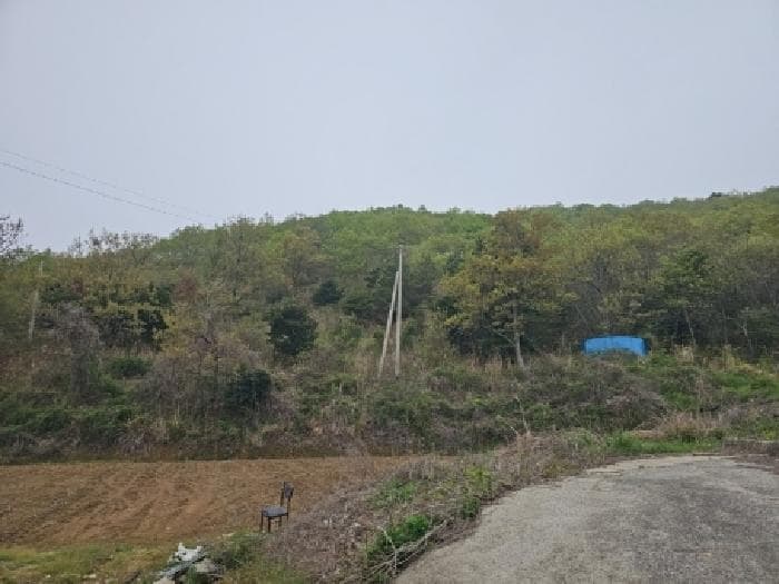 전라남도 진도군 진도읍 산월리 산46