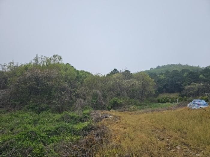 전라남도 진도군 진도읍 산월리 산40