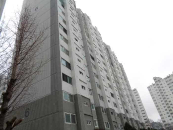 전북특별자치도 전주시 완산구 용머리로 29, 6동 7층 703호