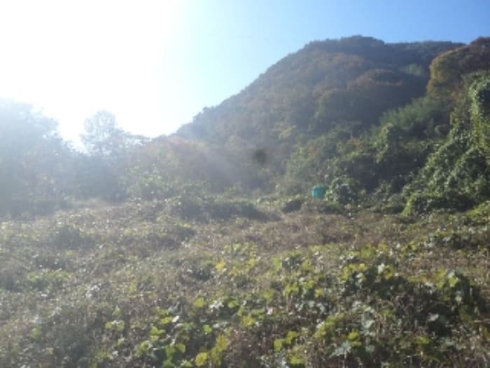 전라북도 완주군 상관면 춘향로 4073 (제1동)