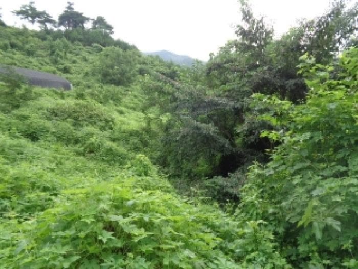 전북특별자치도 무주군 무풍면 금평리 813-1