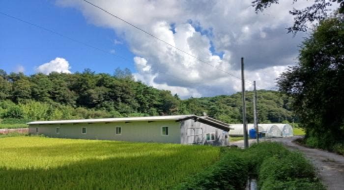 전북특별자치도 임실군 삼계면 오지리 935-6 주1동