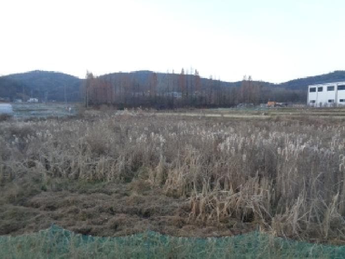 전북특별자치도 전주시 완산구 삼천동3가 245-2