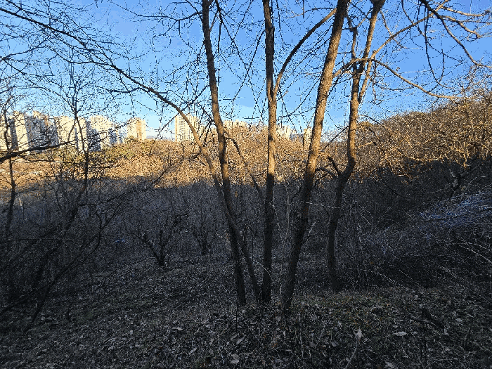 전북특별자치도 전주시 완산구 효자동2가 827-5