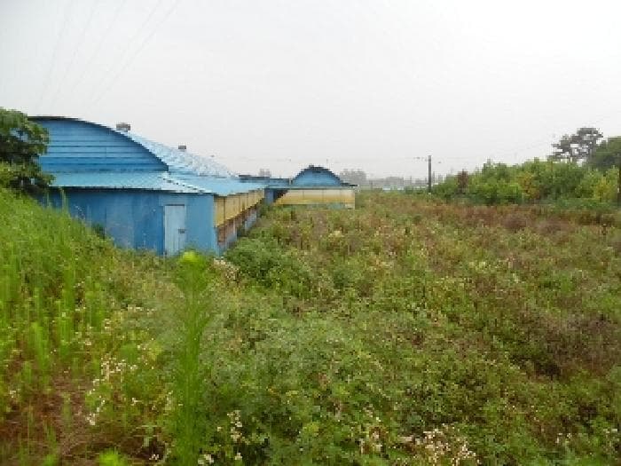 전북특별자치도 김제시 금산면 용산리 174-2