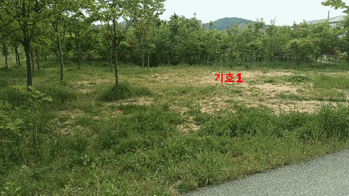 전북특별자치도 전주시 완산구 효자동2가 837-3