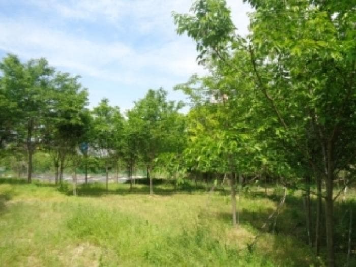 전북특별자치도 전주시 완산구 효자동2가 829-1