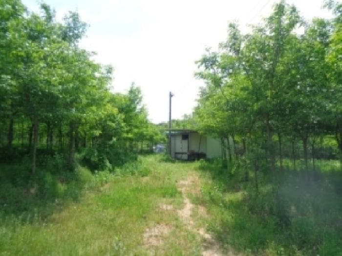전북특별자치도 전주시 완산구 효자동2가 829-5