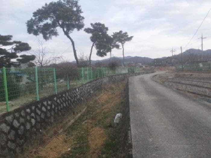 전북특별자치도 전주시 덕진구 금상동 589-1