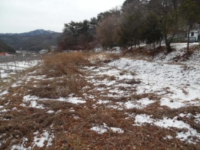 전북특별자치도 무주군 설천면 심곡리 660-2