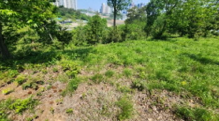 전북특별자치도 군산시 지곡동 354-23