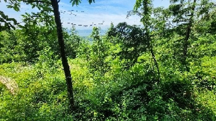 전북특별자치도 군산시 나포면 장상리 764-1