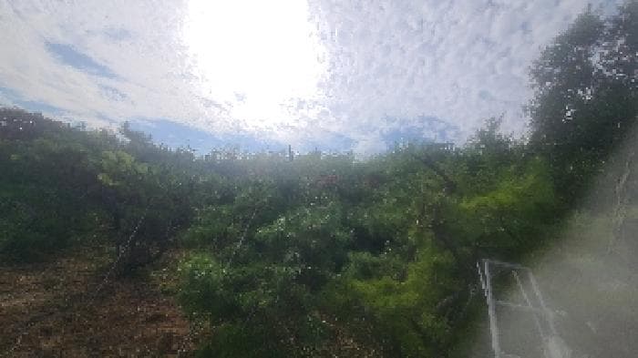전북특별자치도 군산시 나포면 부곡리 284-6