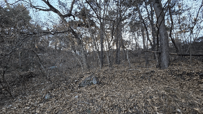 전북특별자치도 군산시 나포면 서포리 산35-4