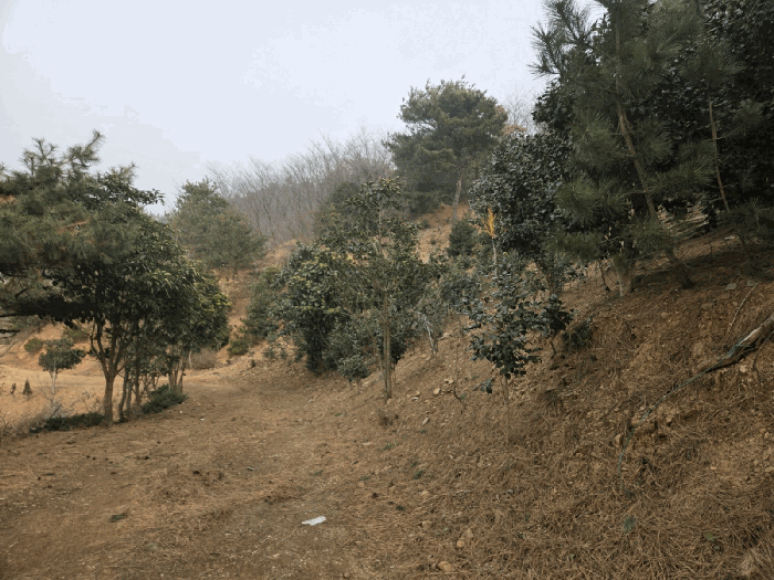 전북특별자치도 군산시 옥구읍 어은리 산160-1