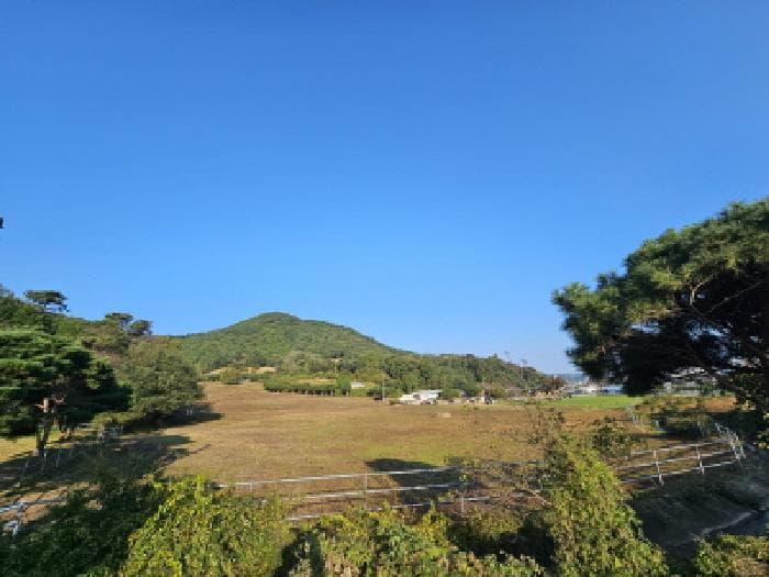 전북특별자치도 정읍시 송산동 531-2