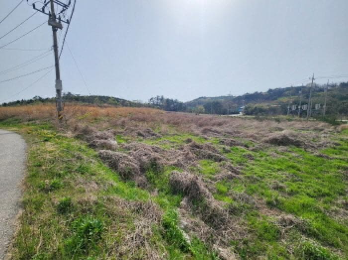 전북특별자치도 부안군 변산면 마포리 산83-1