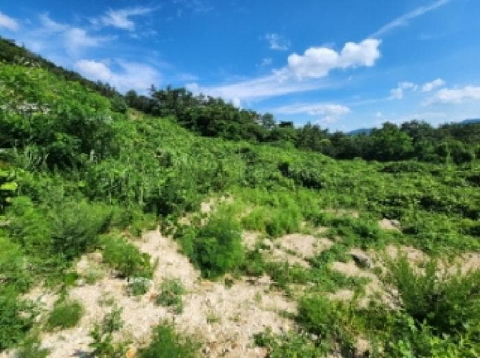 전북특별자치도 부안군 변산면 격포리 43-29