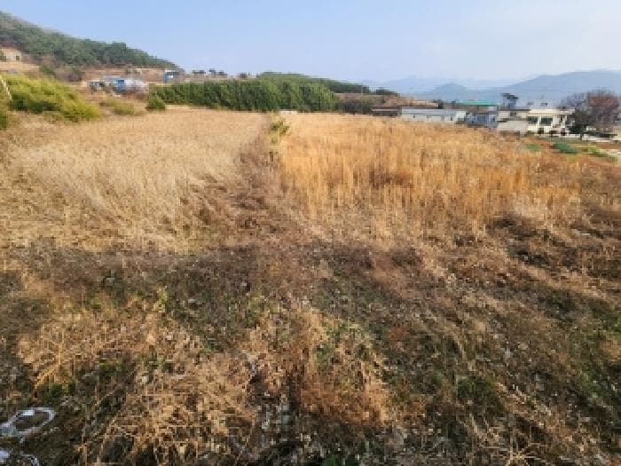 전북특별자치도 부안군 변산면 마포리 647-1