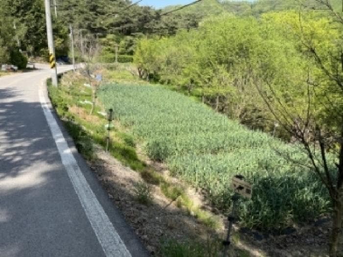전북특별자치도 정읍시 산외면 상두리 256