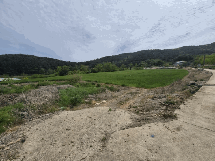 전북특별자치도 부안군 하서면 장신리 1584
