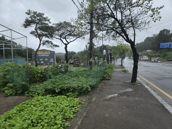 전북특별자치도 남원시 노암동 729-1 주1동