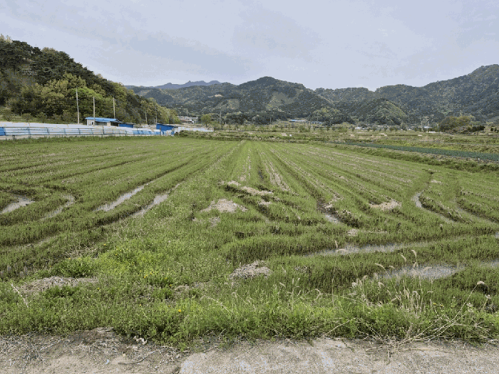 전북특별자치도 장수군 산서면 쌍계리 713