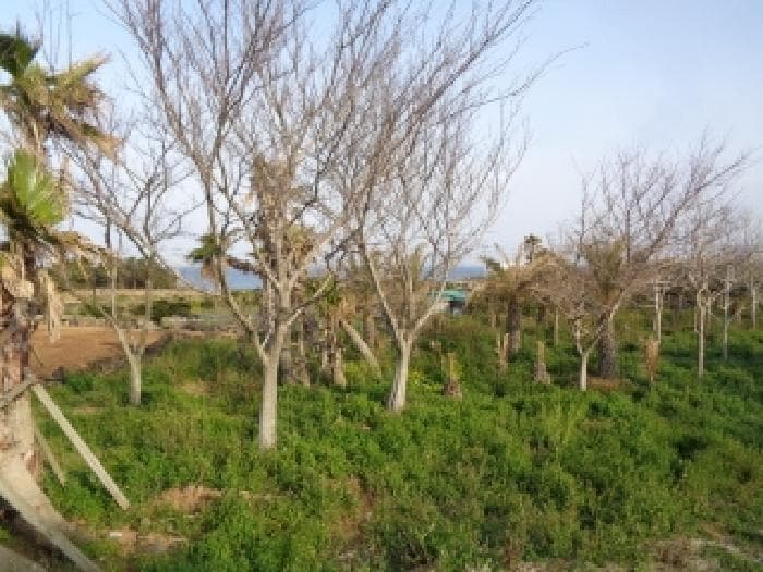 제주특별자치도 제주시 한경면 판포리 1544-1