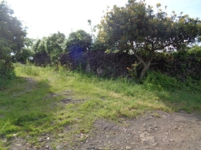 제주특별자치도 제주시 한경면 청수리 385