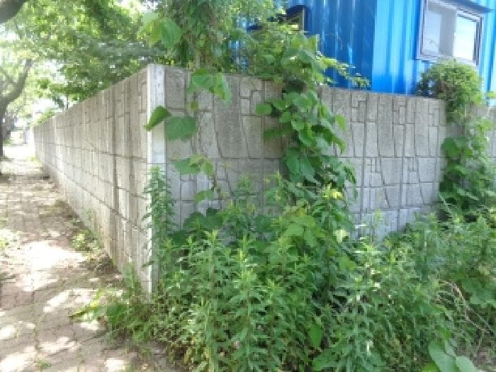 제주특별자치도 제주시 영평동 2231-2 씨에스
