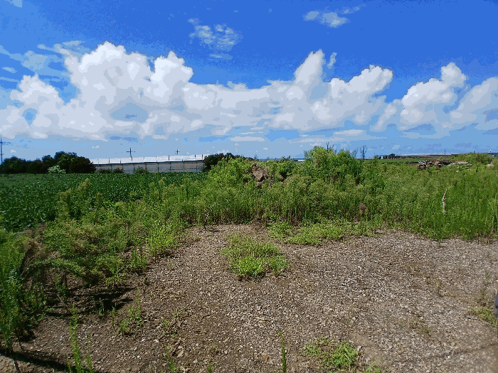 제주특별자치도 서귀포시 대정읍 무릉리 3613-1