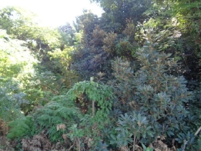 제주특별자치도 제주시 한경면 용수리 3944-2