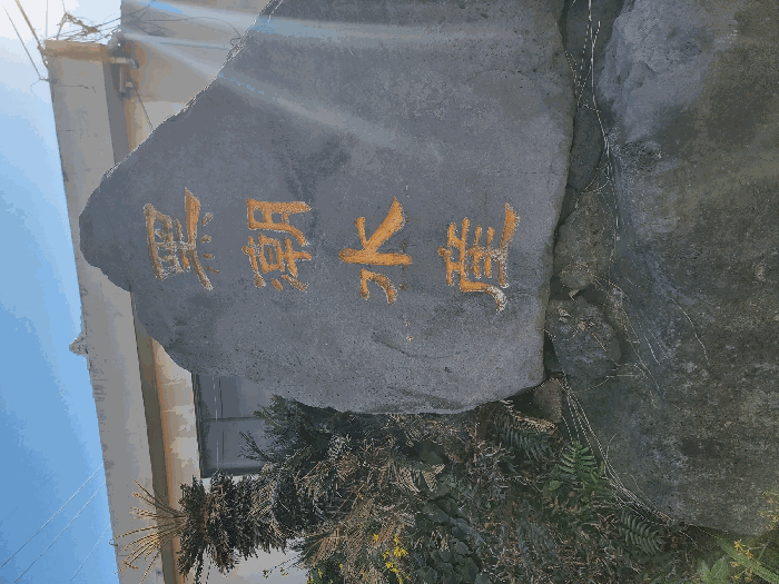 제주특별자치도 서귀포시 성산읍 신천리 206