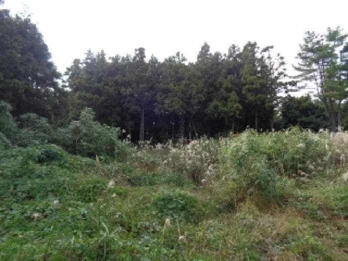 제주특별자치도 서귀포시 안덕면 상천리 580-1