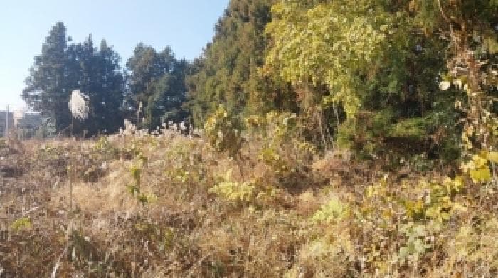 제주특별자치도 서귀포시 남원읍 한남리 1032