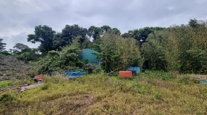 제주특별자치도 서귀포시 성산읍 고성리 1360-2