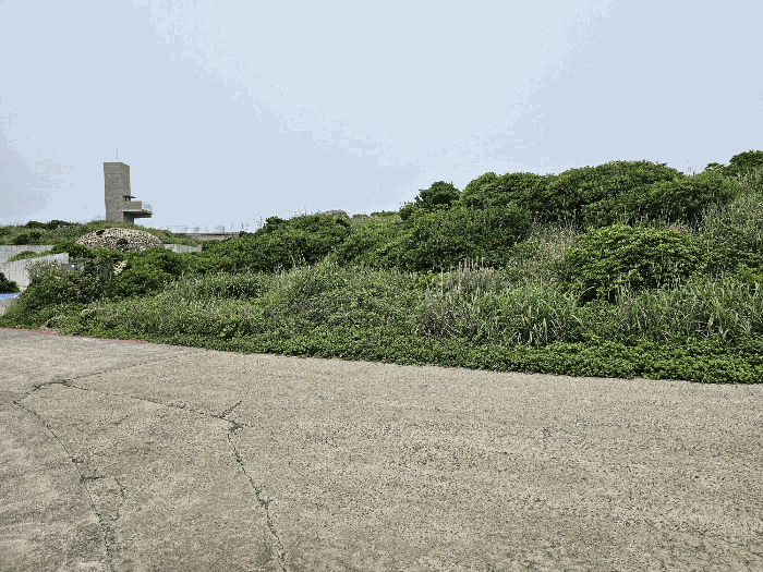 제주특별자치도 제주시 애월읍 고성리 산96