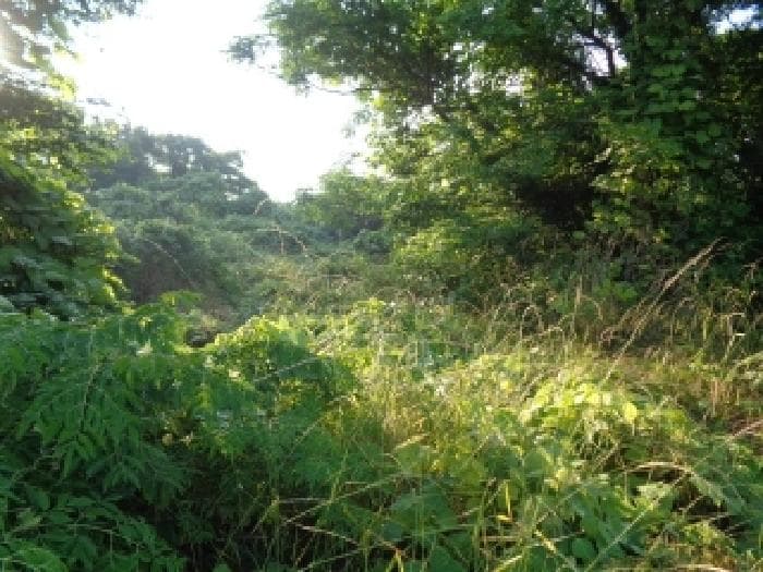 제주특별자치도 제주시 한림읍 협재리 2001