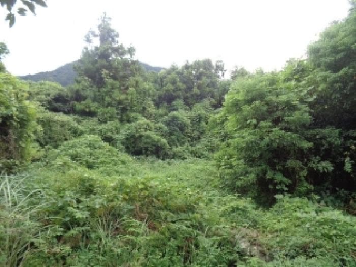 제주특별자치도 서귀포시 안덕면 사계리 831