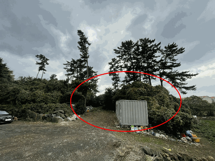 제주특별자치도 제주시 도남동 225