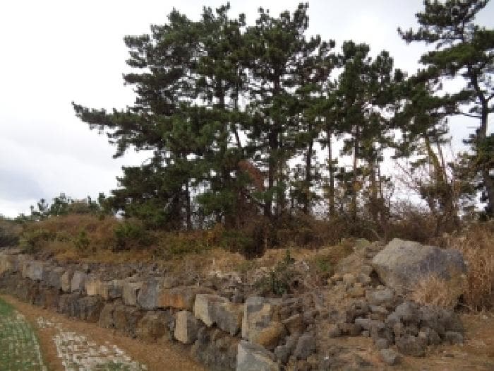 제주특별자치도 제주시 한경면 두모리 1961