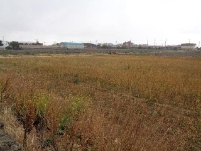 제주특별자치도 제주시 한경면 고산리 3421-14