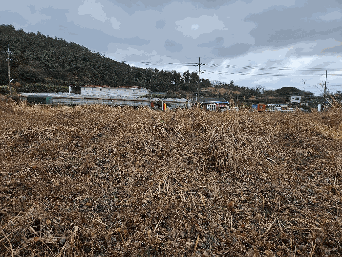 제주특별자치도 서귀포시 안덕면 서광리 957-1