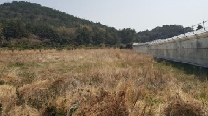 제주특별자치도 서귀포시 표선면 토산리 724-6