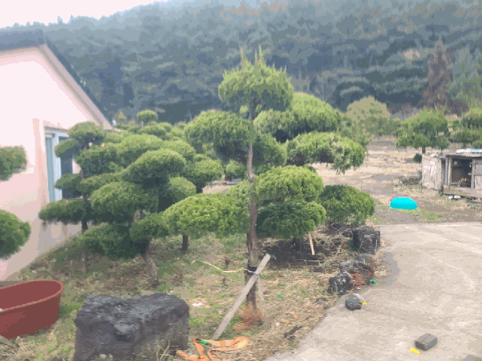 제주특별자치도 제주시 조천읍 선흘리 626-14